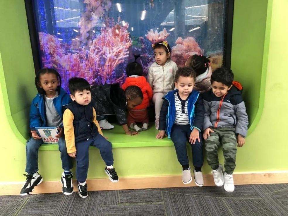 Children sitting in a colorful aquarium reading nook